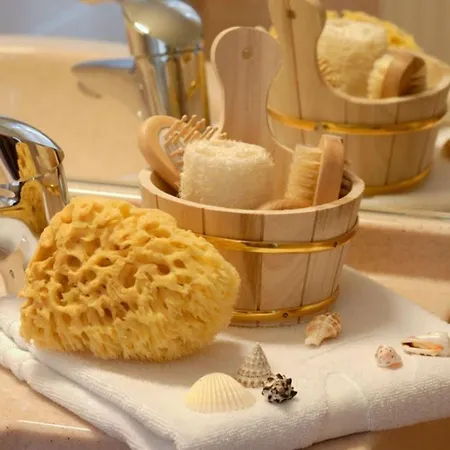 ホテル ドレクセルス パークホテル 4*